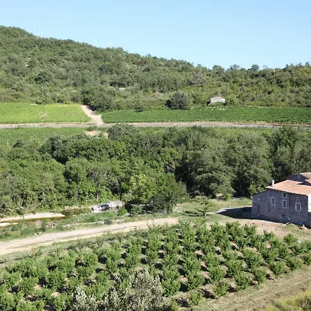 Holiday home La Tour Saint-Thome